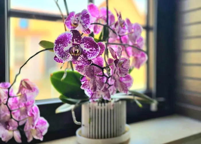 Apartment Happy Homes Red - Dein Stylisches Maisonette-apartment Mit Wow-effekt! Altenstadt (Hessen)